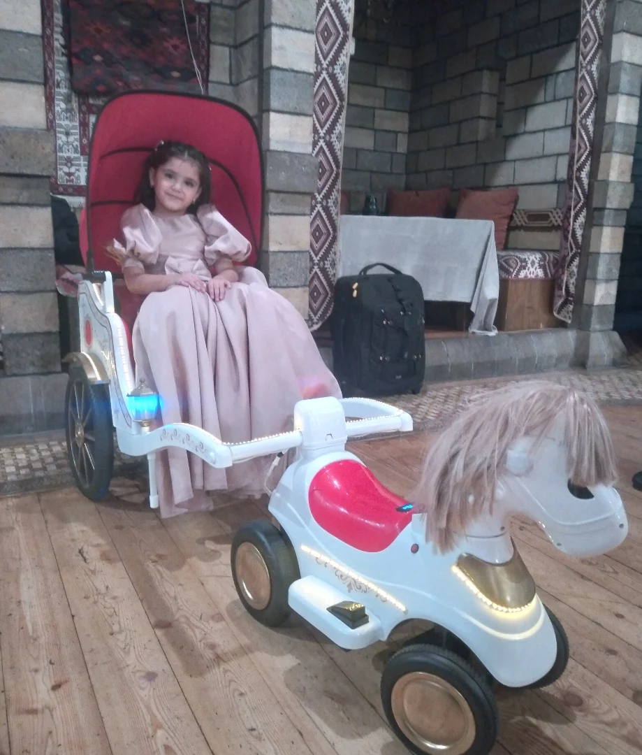 Fotosessiya və Xüsusi Günlər üçün Retro Maşınlar və At Karetası