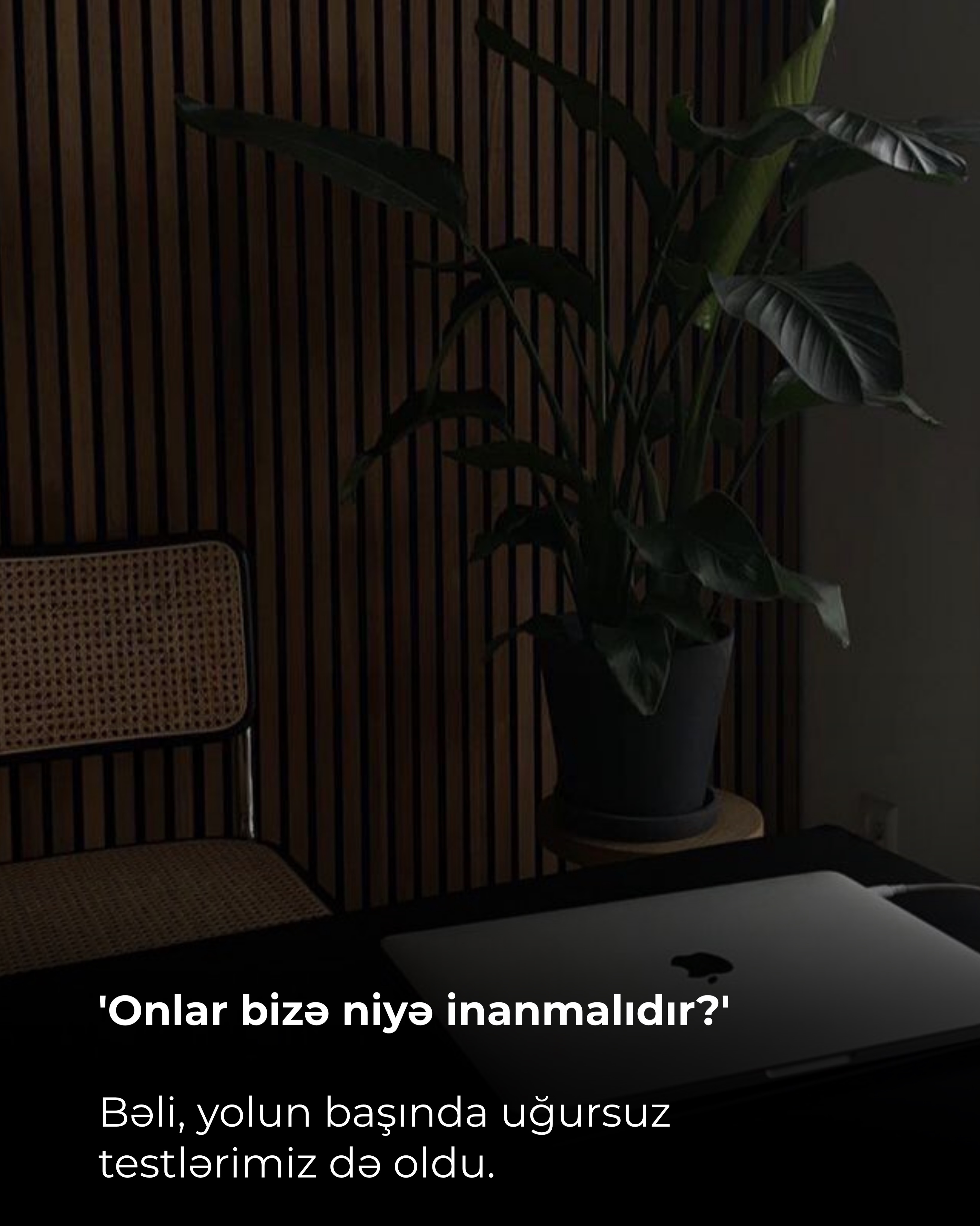 Shusha Muradova | Digital Marketing & SMM