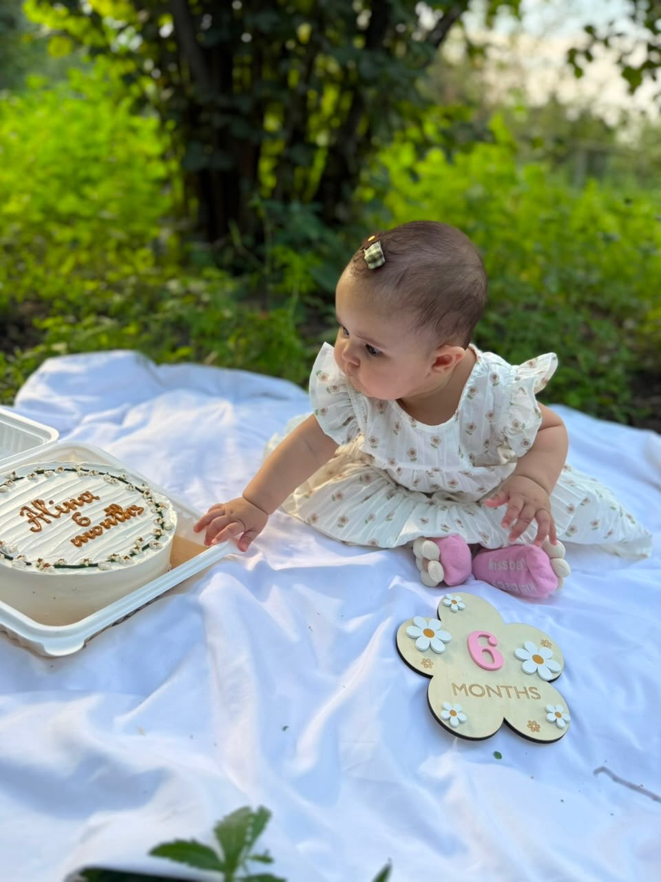 Kiçik və Ay Tortları (Bento Cake)