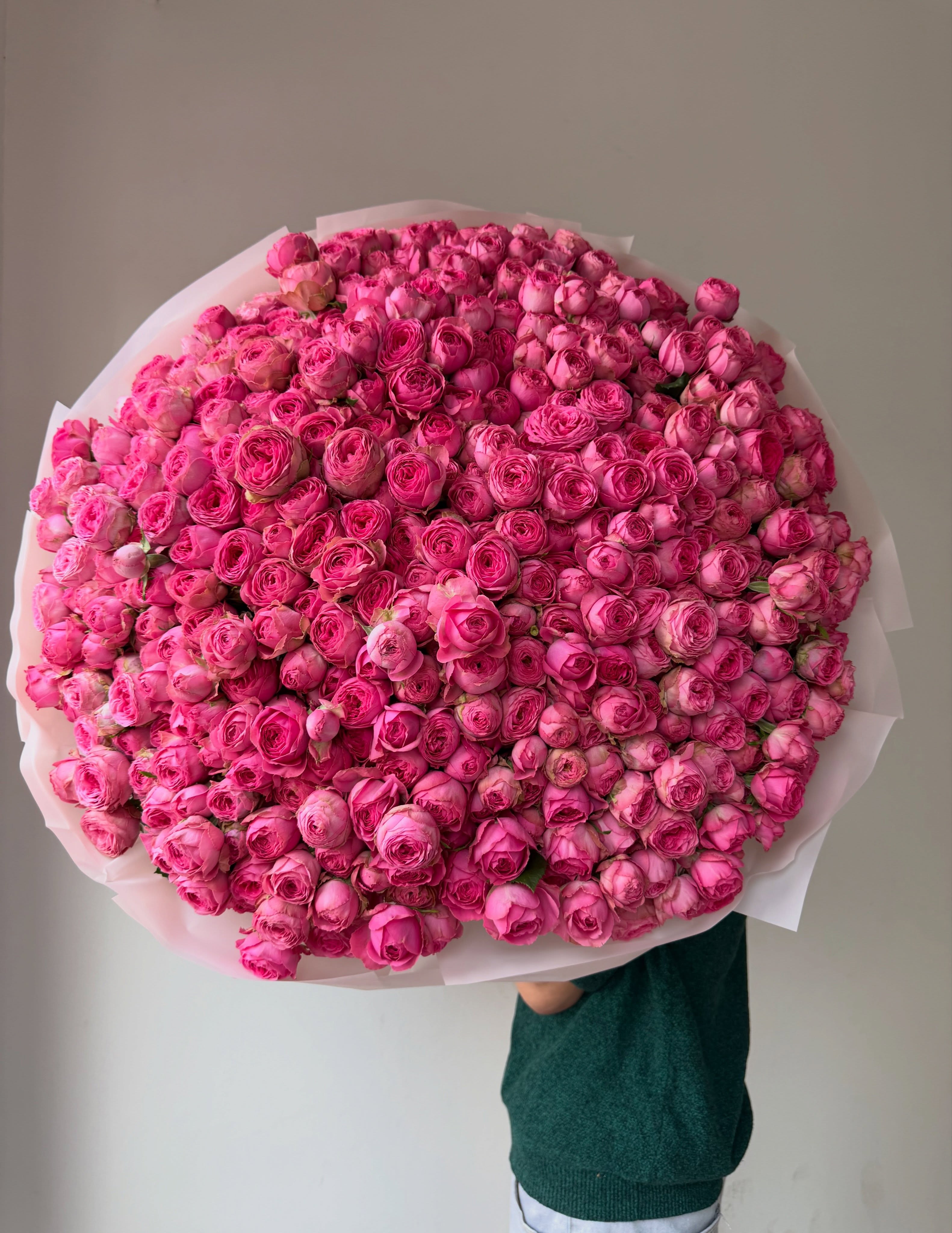 101 Roza Flora Holland