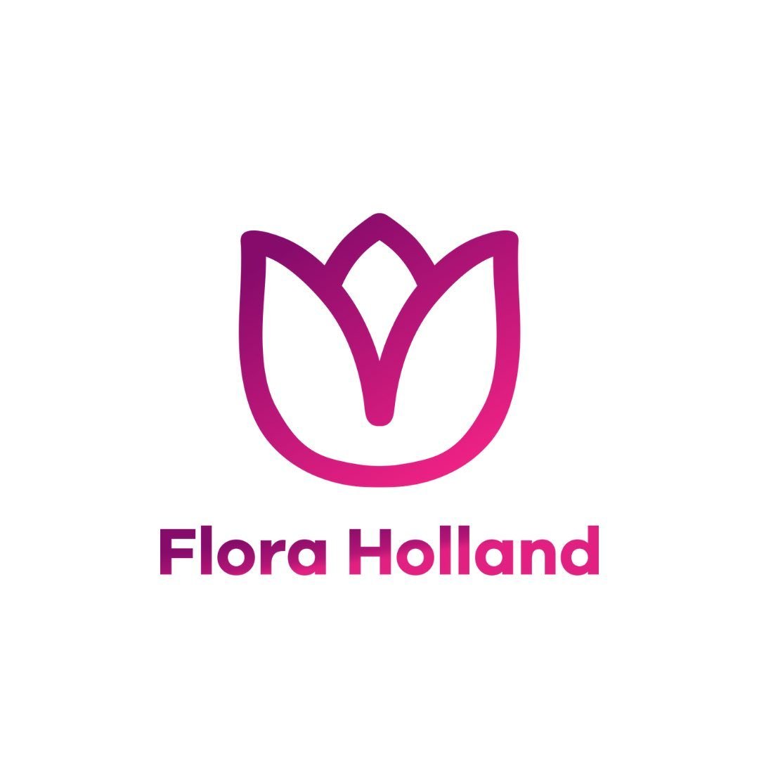 101 Roza Flora Holland