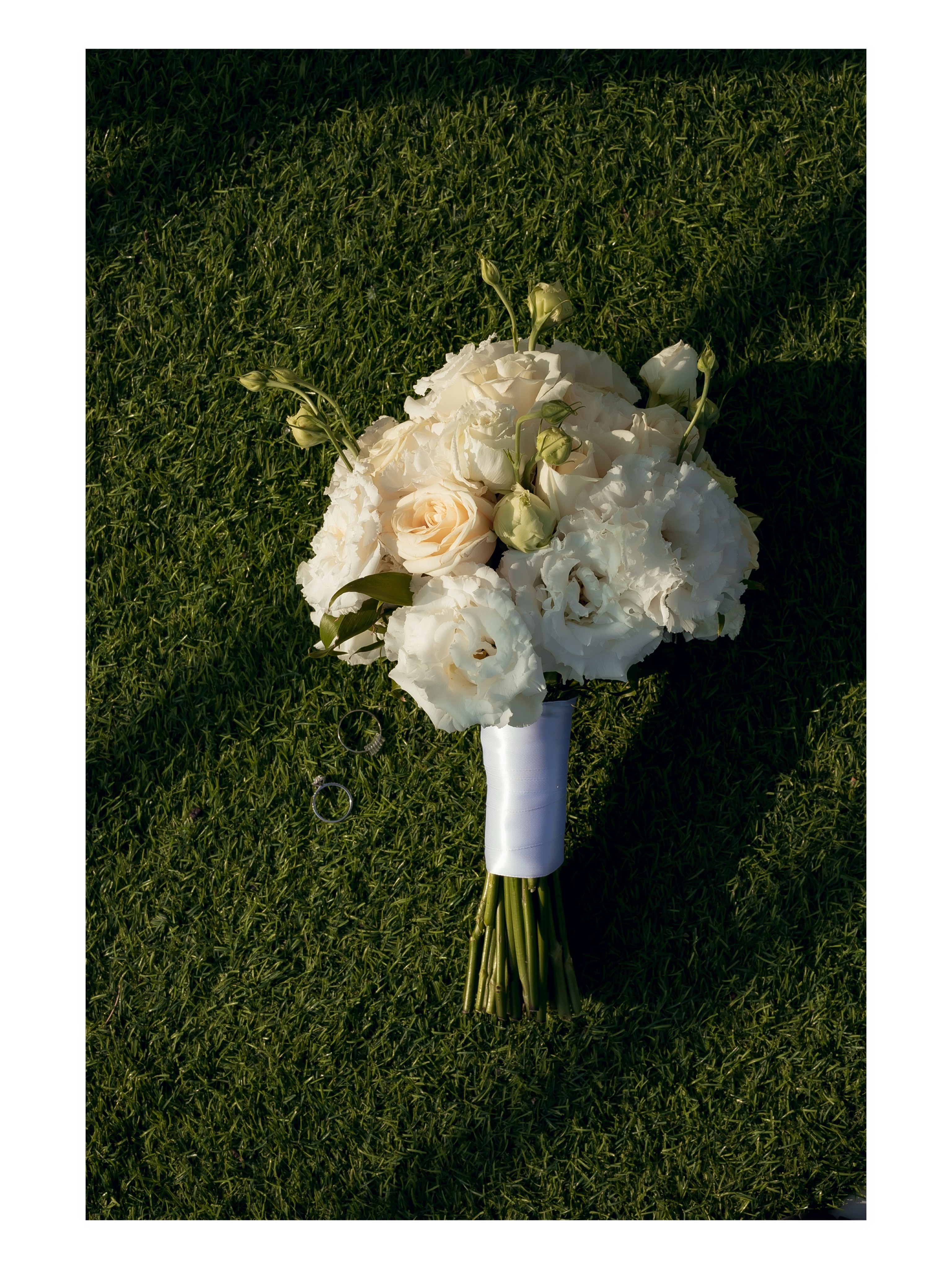 Green City Dekor