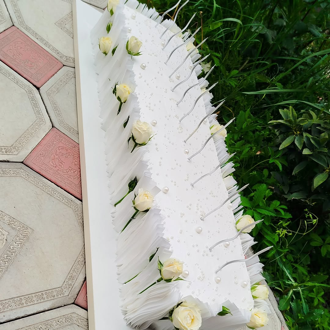 Toy və Nişan Tortları