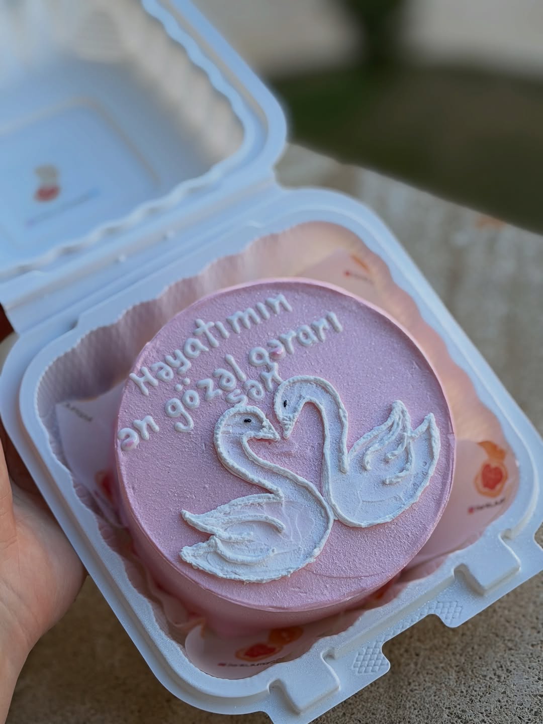 Körpələr Üçün Aylıq Bento Tortlar
