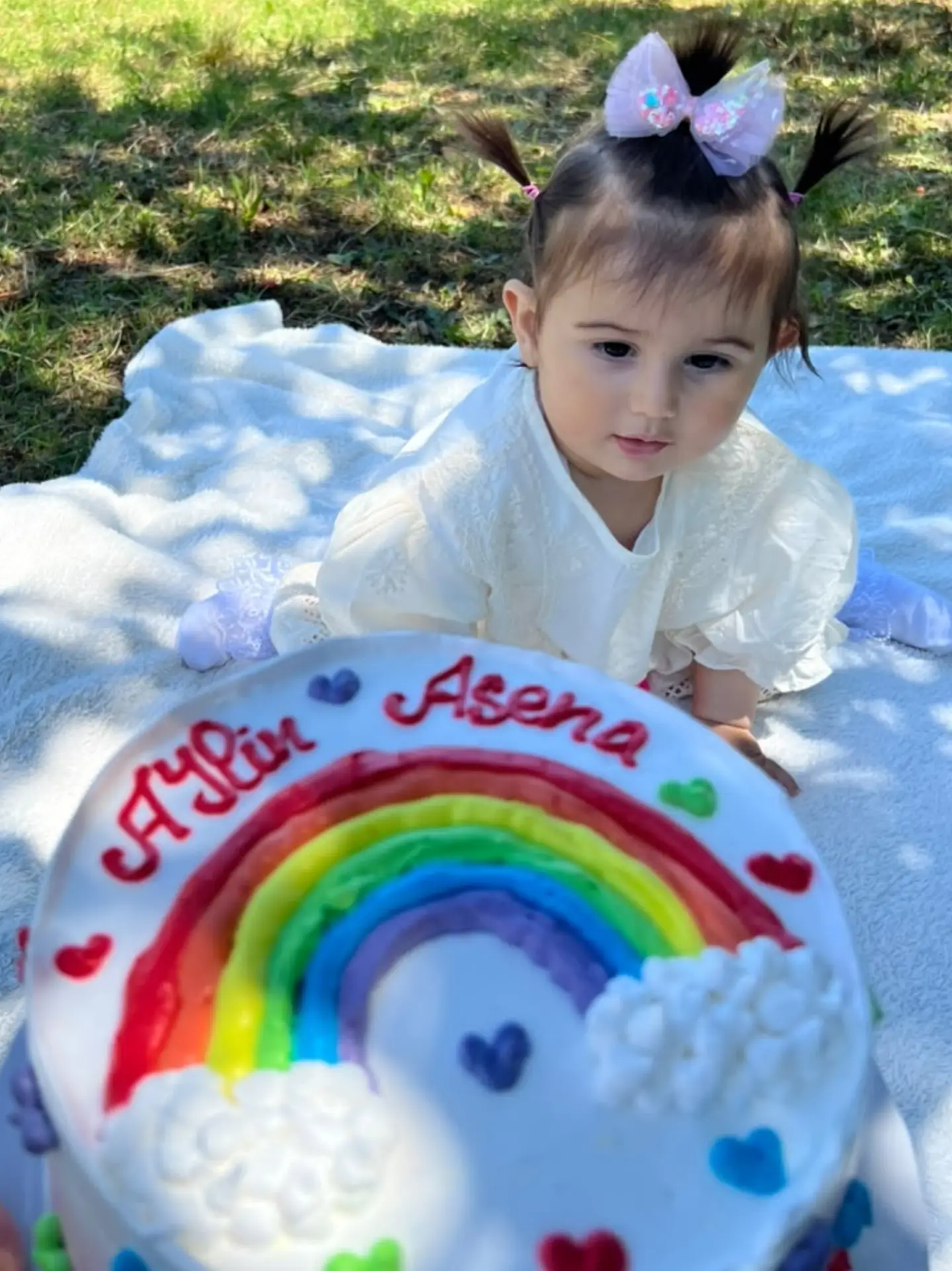Lalənin Tort Dünyası