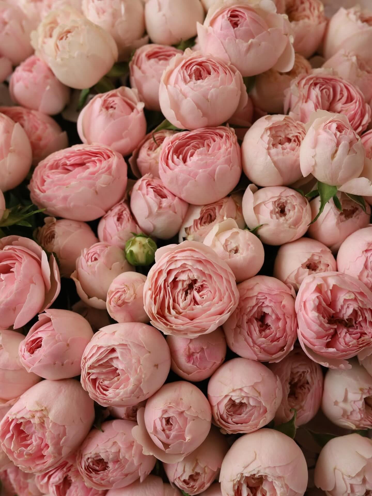 Pink Flowers Boutique
