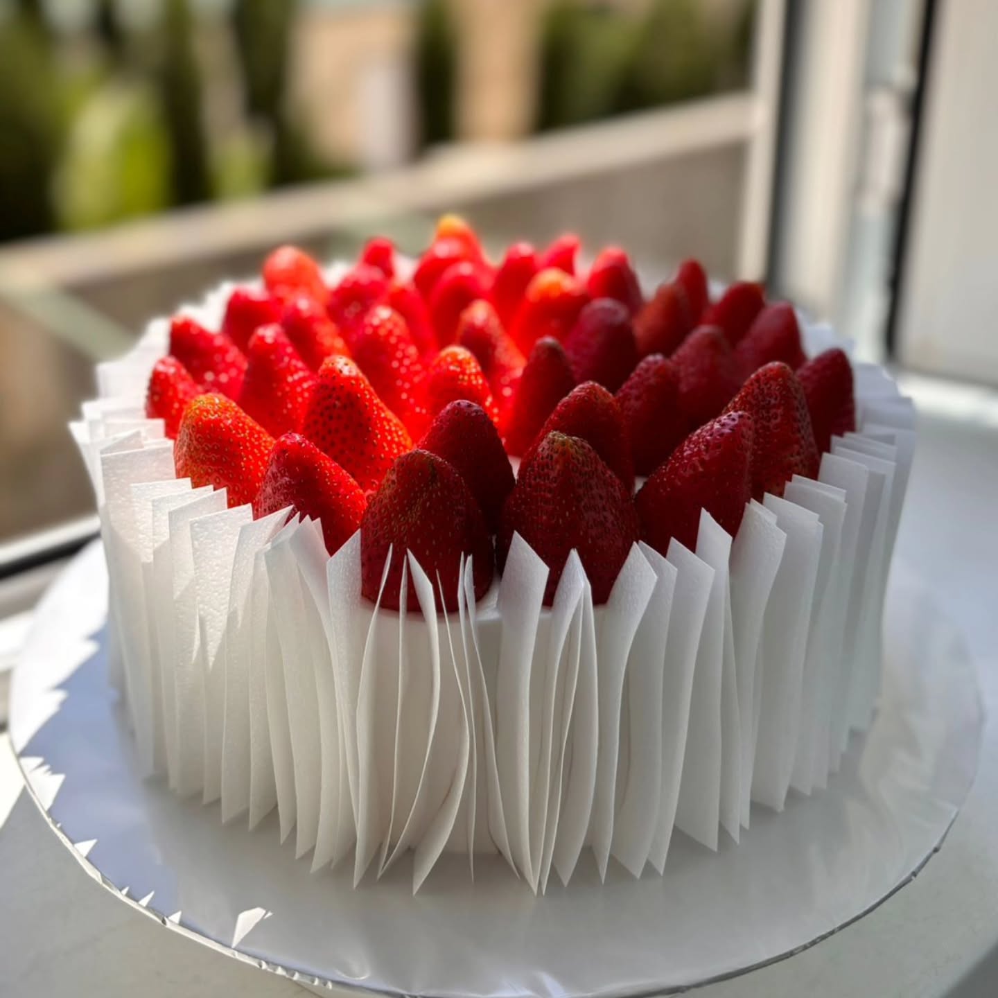 Toy və Nişan Tortları