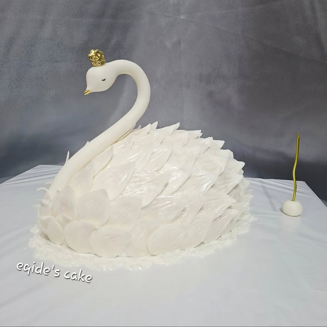 Nişan və Həri Tortları