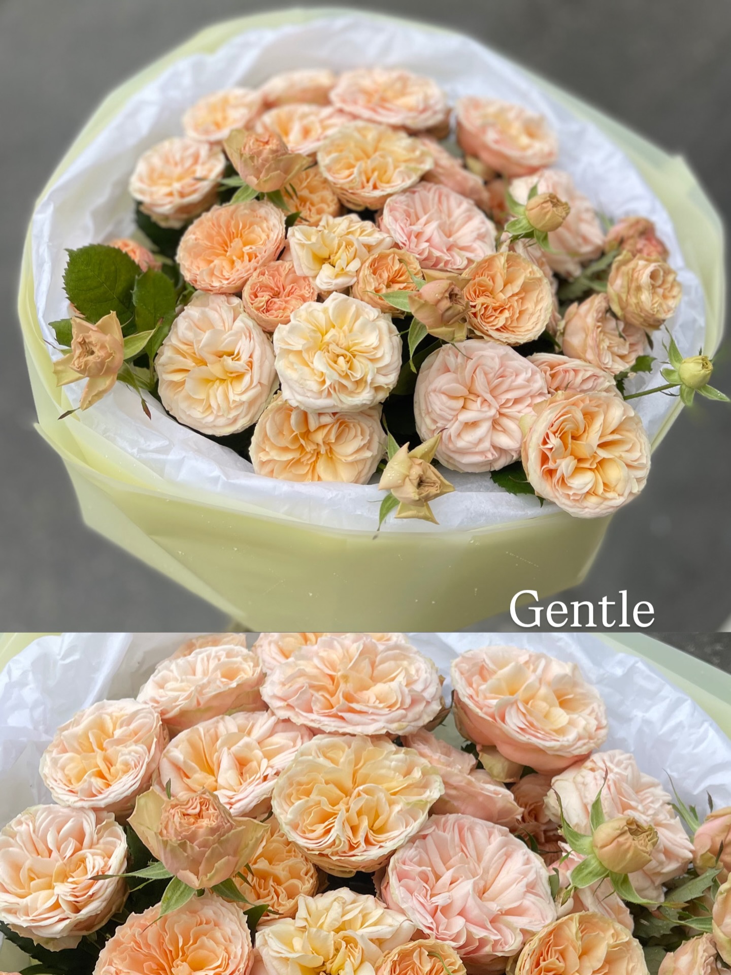 Hədiyyəlik Gül Buketləri