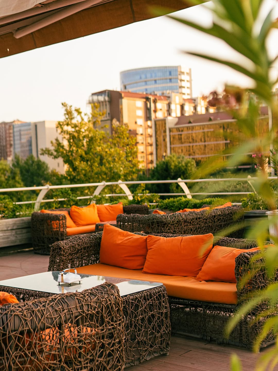 Nogul Lounge - Restoran və Terras Xidməti