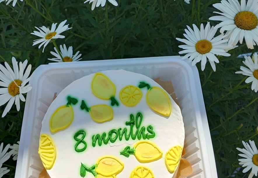 Kiçik və Ay Tortları (Bento Cake)