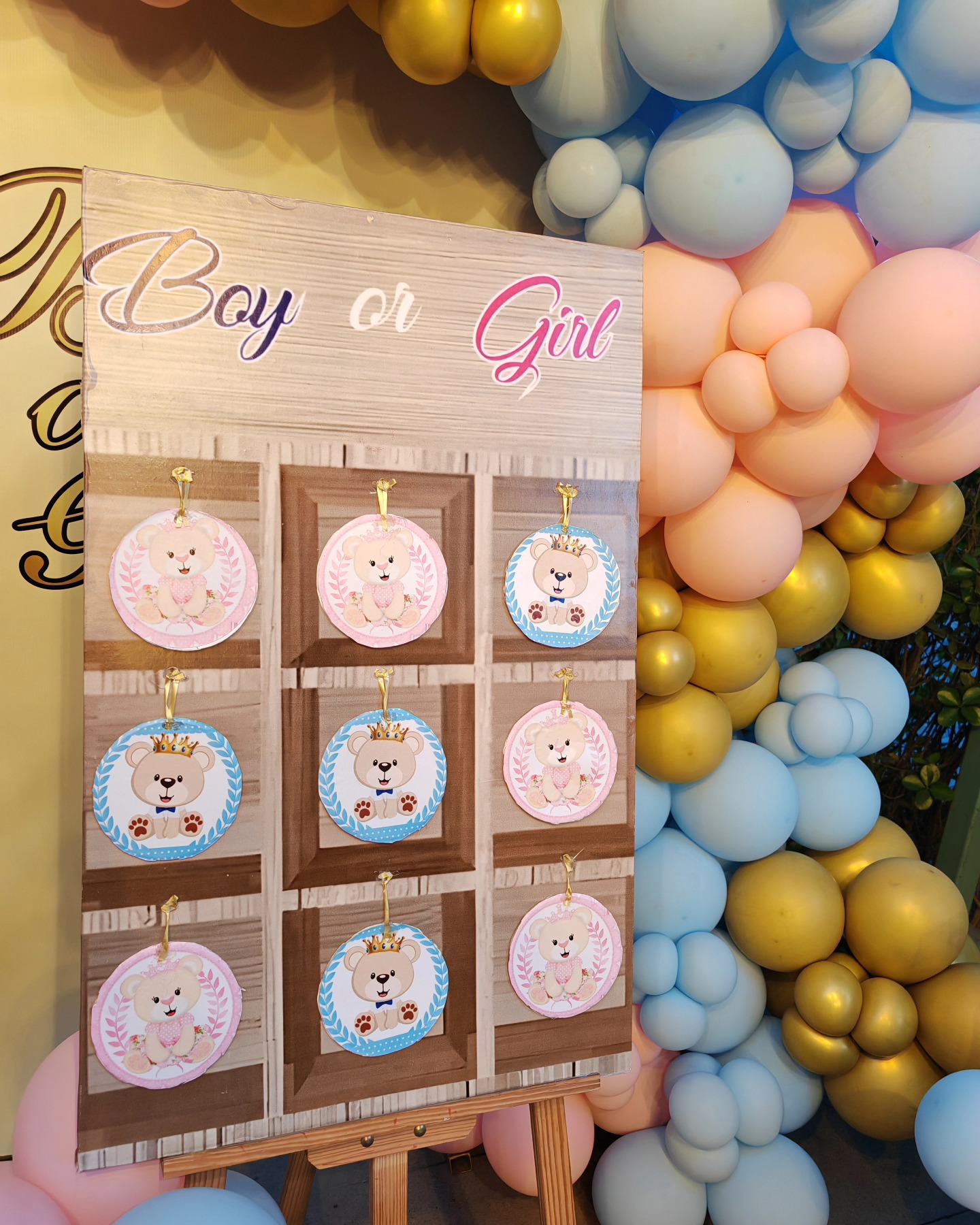 Boy or Girl Decor