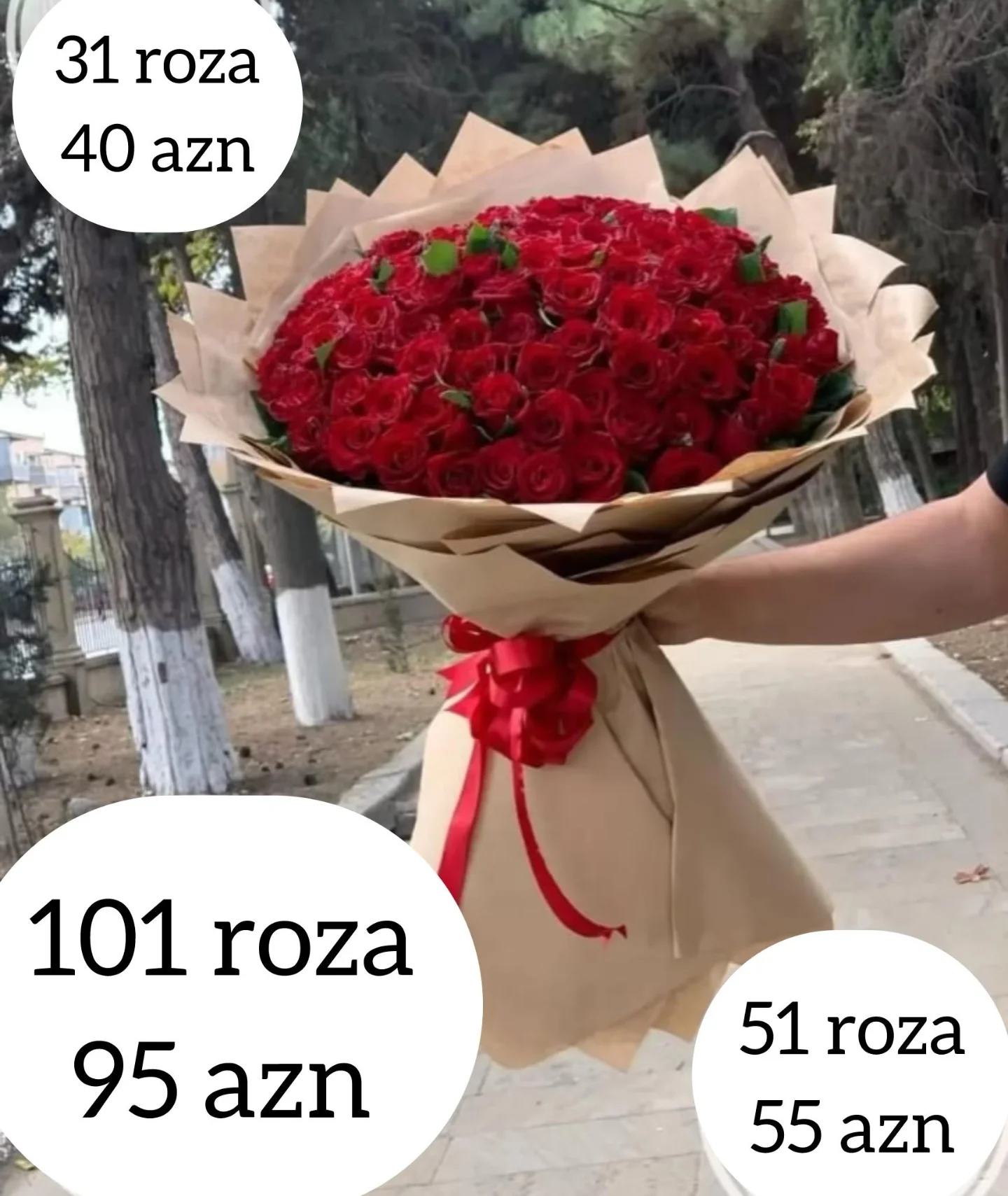 Al_ciceyim