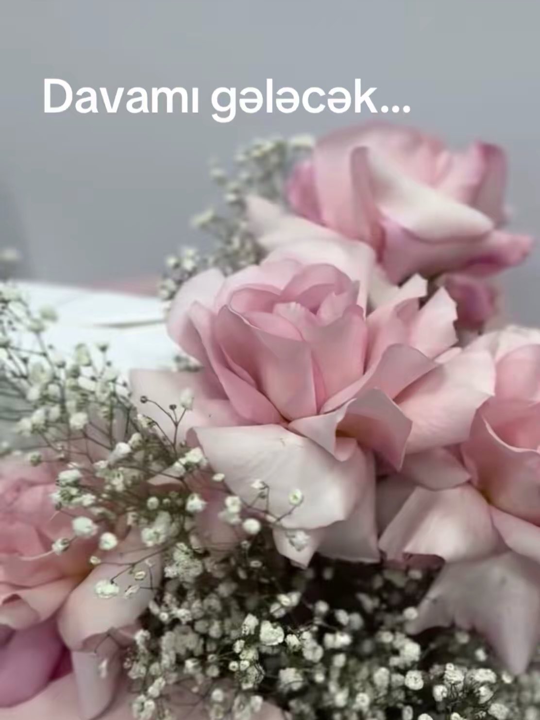 Xına Mərasimi Xonçaları və Dekoru