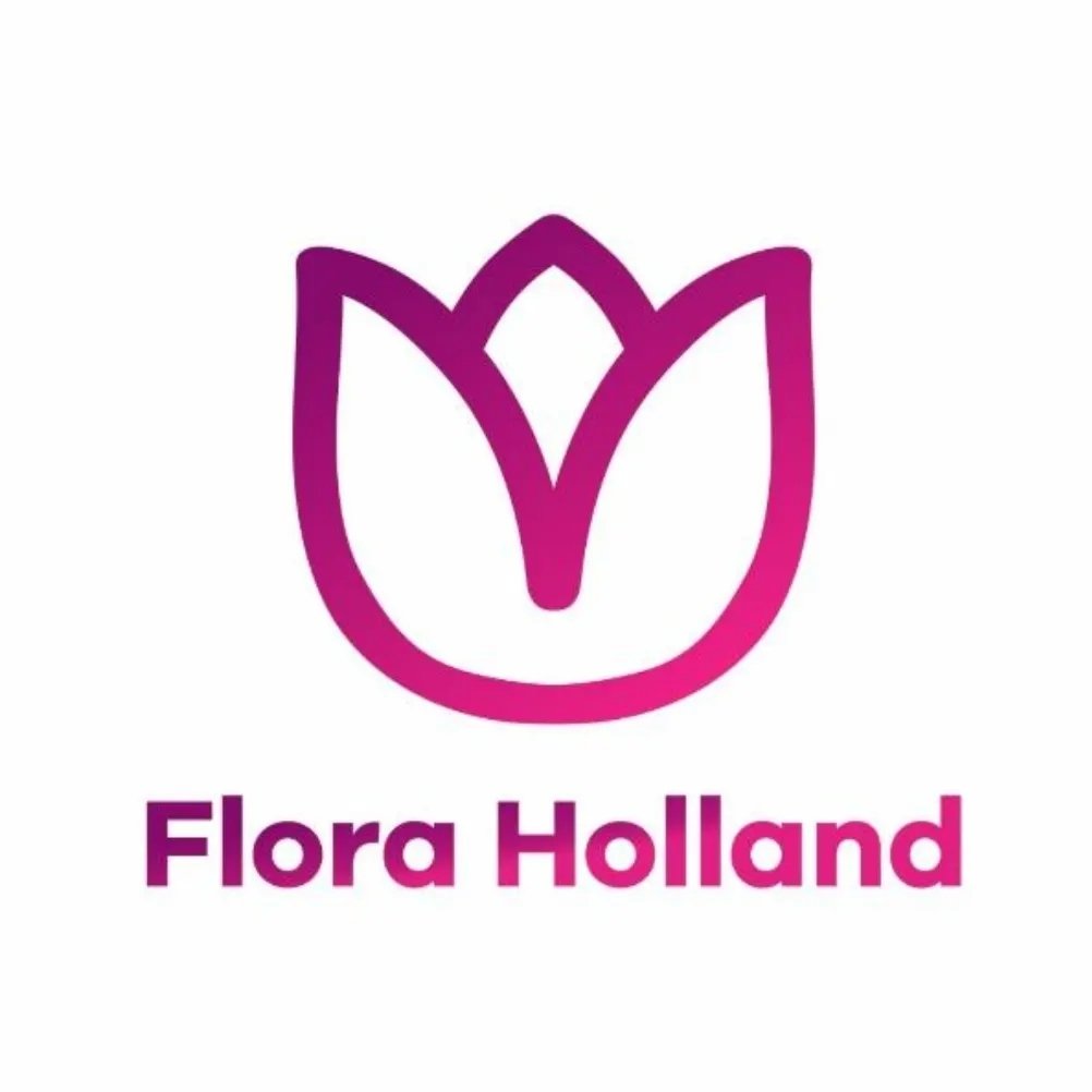 101 Roza Flora Holland