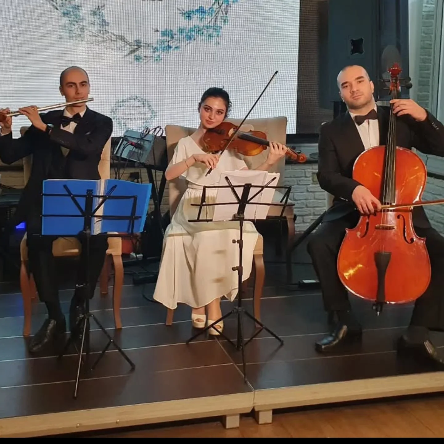 Toy və Nişan Tədbirləri üçün Solo Skripka İfası