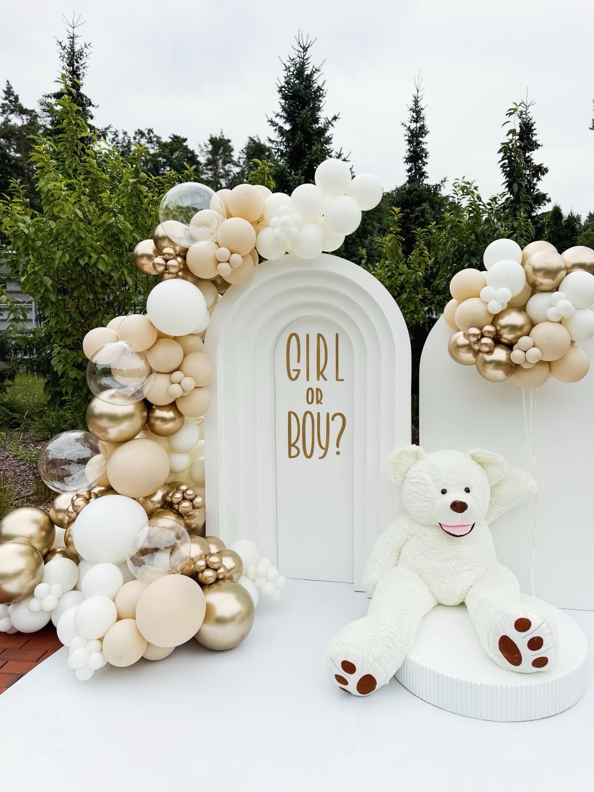 Baby Shower və Cinsiyyət Partisi Dekoru