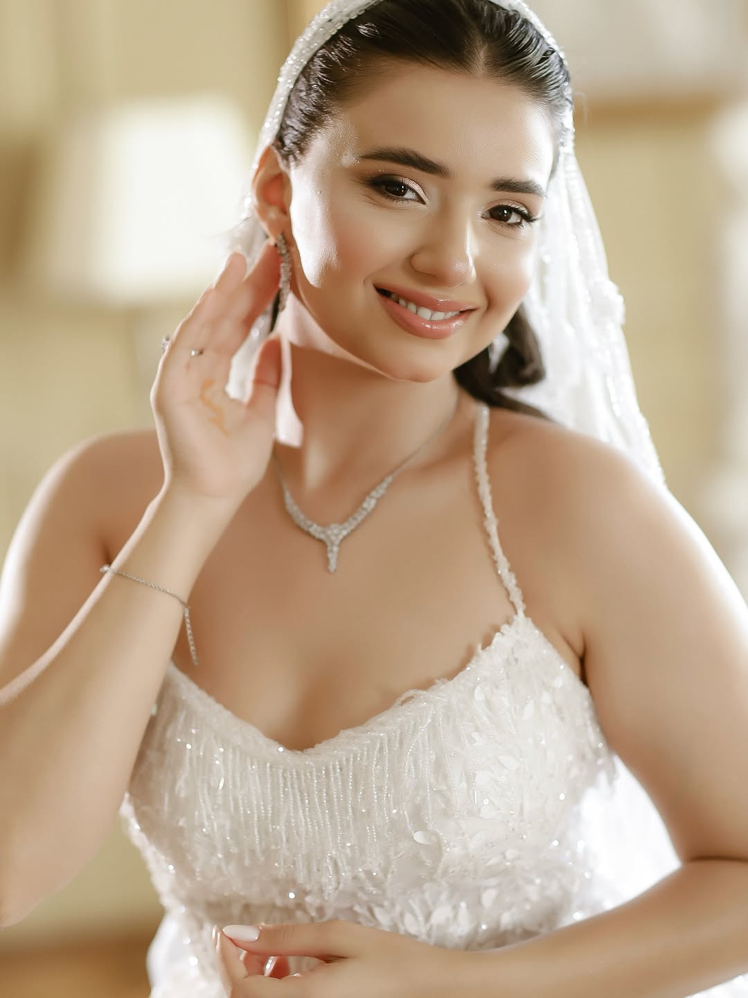 Ziyafət və Gecə Donlarının Kirayəsi