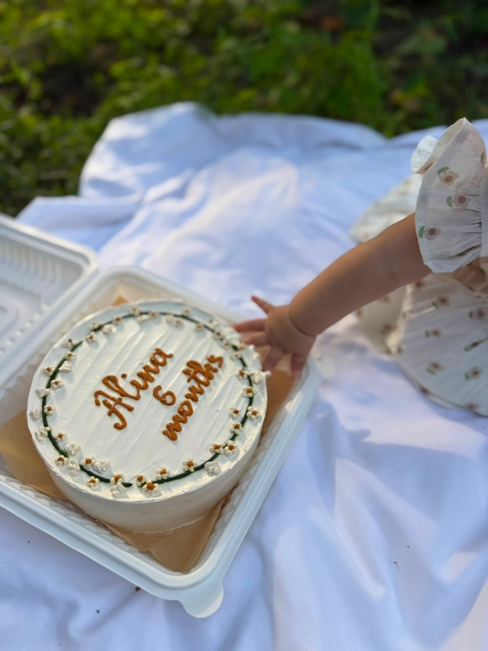 Kiçik və Ay Tortları (Bento Cake)