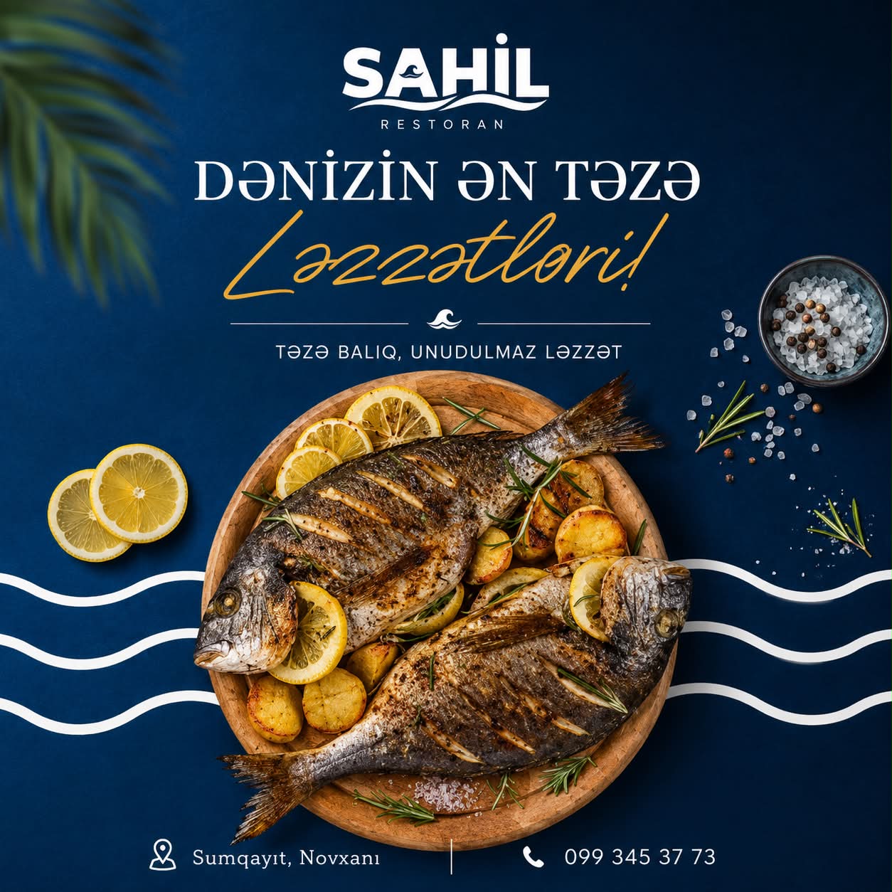 Canlı Musiqili Axşamlar və Şou Proqramlar