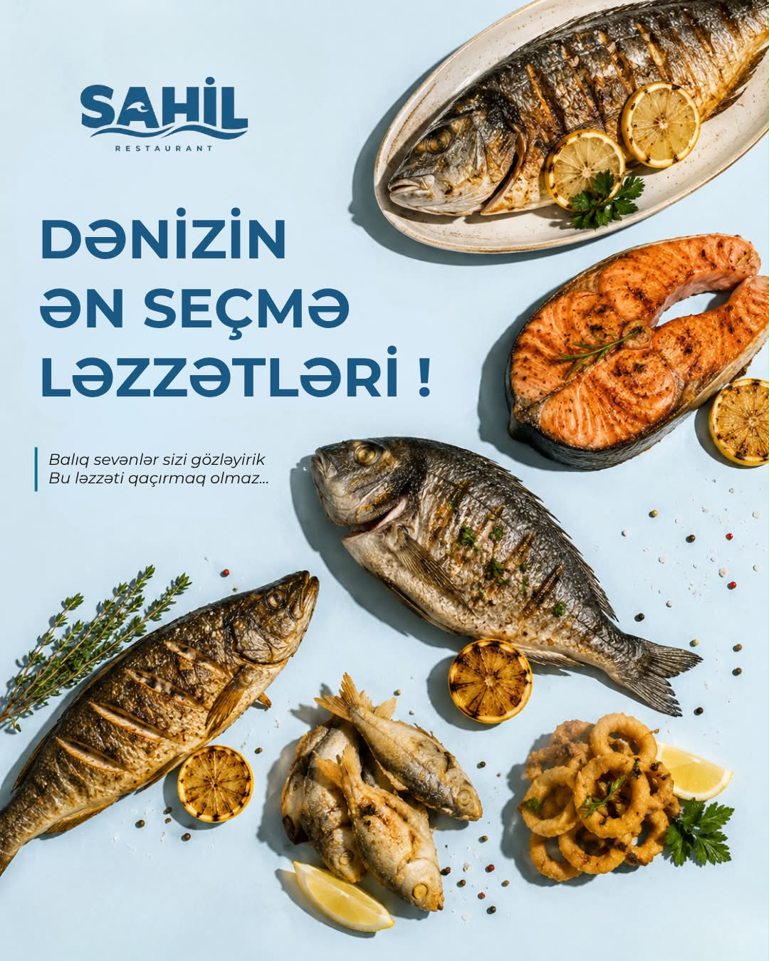 Canlı Musiqili Axşamlar və Şou Proqramlar