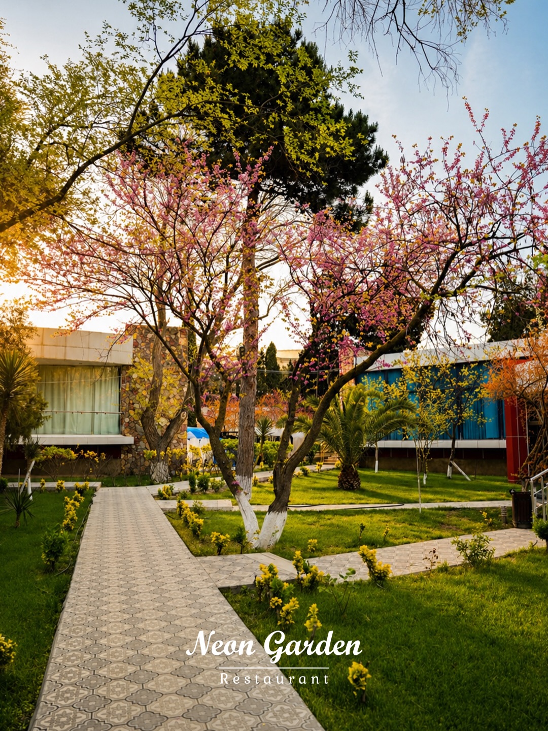 Canlı Musiqi və Şou Proqramlı Axşam Yeməyi