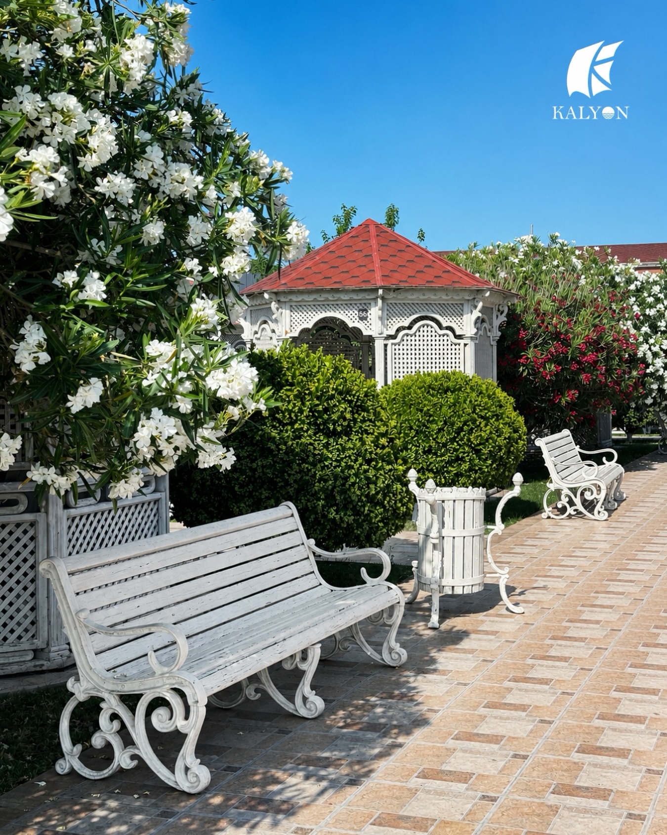 Dəniz Kənarında Banket və Tədbirlərin Təşkili