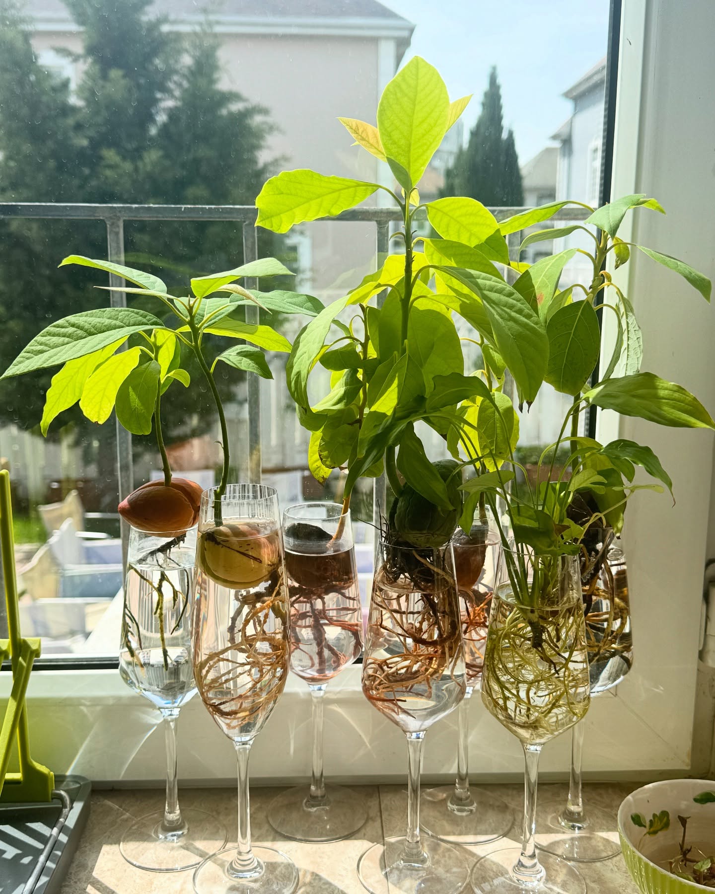 Lity's Kitchen