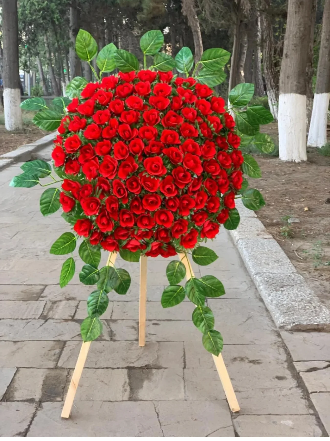Al_ciceyim